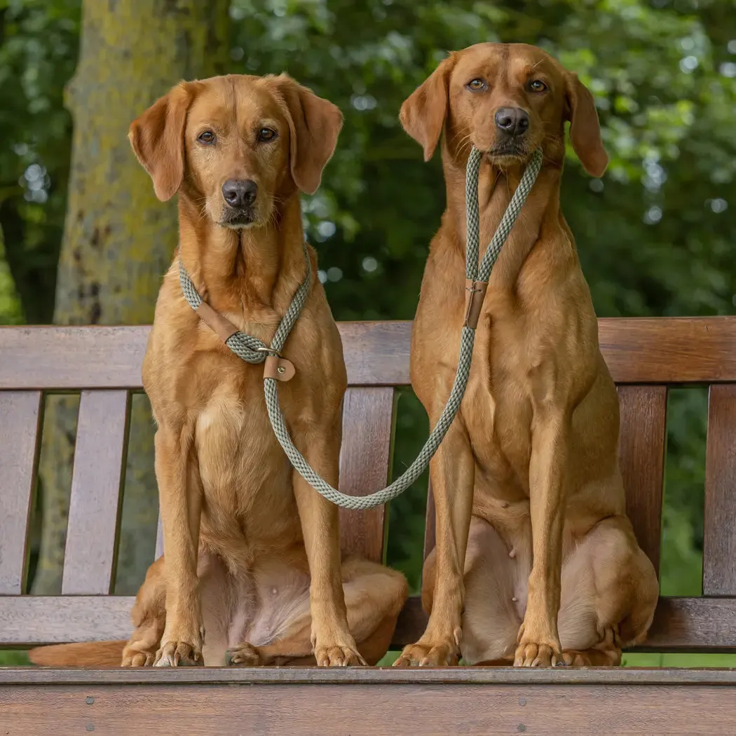 Ruff & Tumble Dog Clip Lead - Various Colours - BLACK FRIDAY  SPECIAL OFFER - UPTO 21% OFF