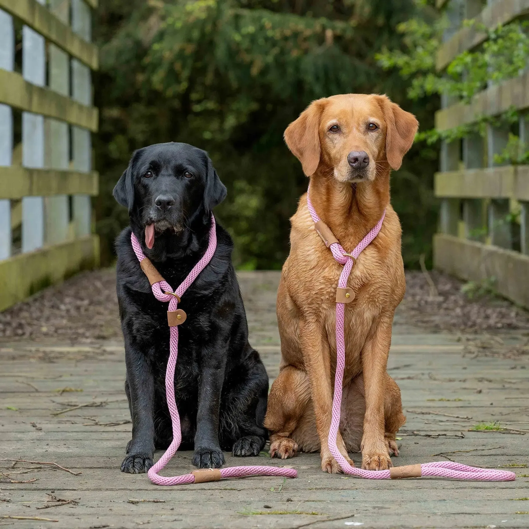 Ruff & Tumble Dog Clip Lead - Various Colours - BLACK FRIDAY  SPECIAL OFFER - UPTO 21% OFF