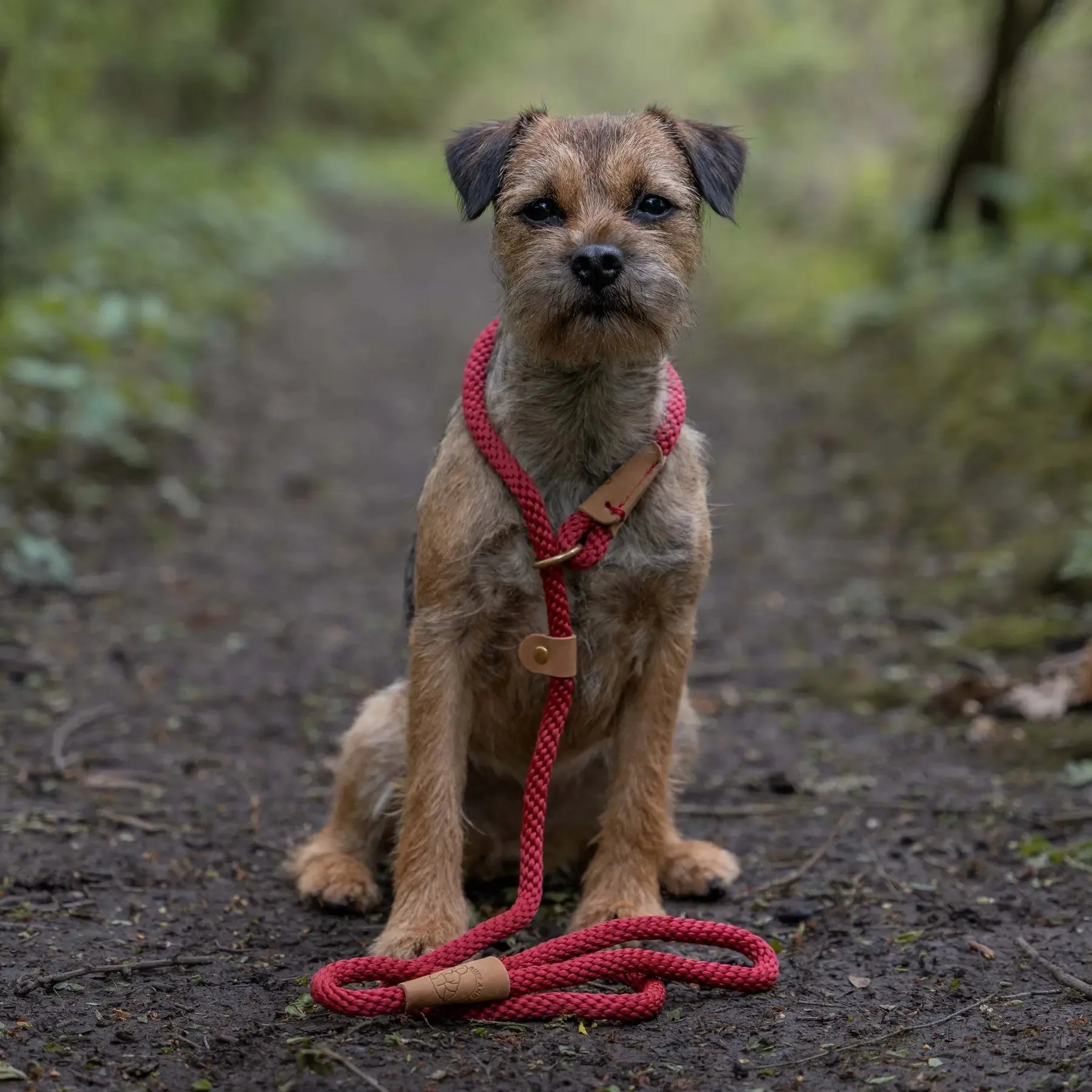 Ruff & Tumble Dog Clip Lead - Various Colours - BLACK FRIDAY  SPECIAL OFFER - UPTO 21% OFF